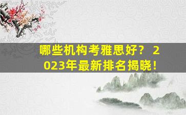 哪些机构考雅思好？ 2023年最新排名揭晓！